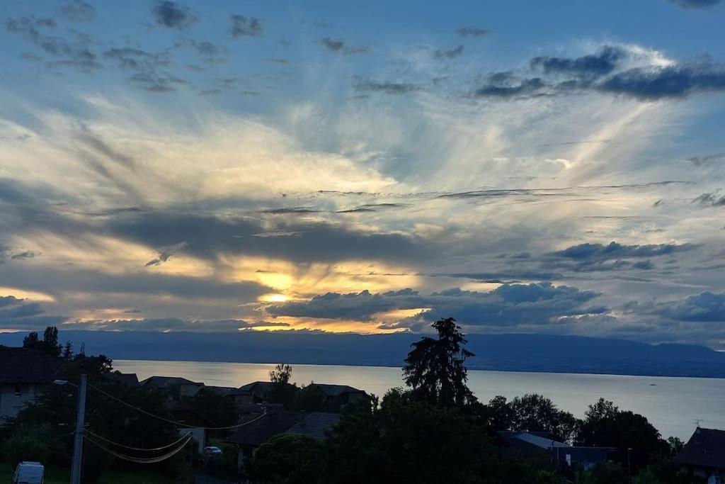 Appart Cosy Avec Vue Sur Le Lac Leman Évian-les-Bains Exterior foto